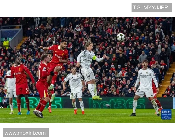 欧冠激战：那不勒斯小胜皇马红牌争议引发全场热议